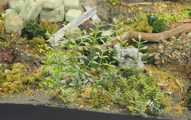 fotograbado plantas y malezas b art. nr. 35036