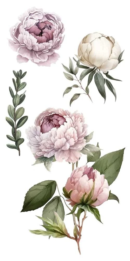 transfers decorativos 15x30cm 4 hojas – peonias art. nr. pfy 14766