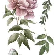 transfers decorativos 15x30cm 4 hojas – peonias art. nr. pfy 14766