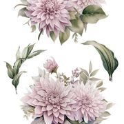 transfers decorativos 15x30cm 4 hojas – dalias art. nr. pfy 14769