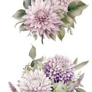 transfers decorativos 15x30cm 4 hojas – dalias art. nr. pfy 14769