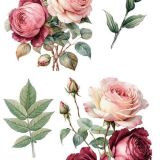 transfers decorativos 15x30cm 4 hojas – rosas art. nr. pfy 14772