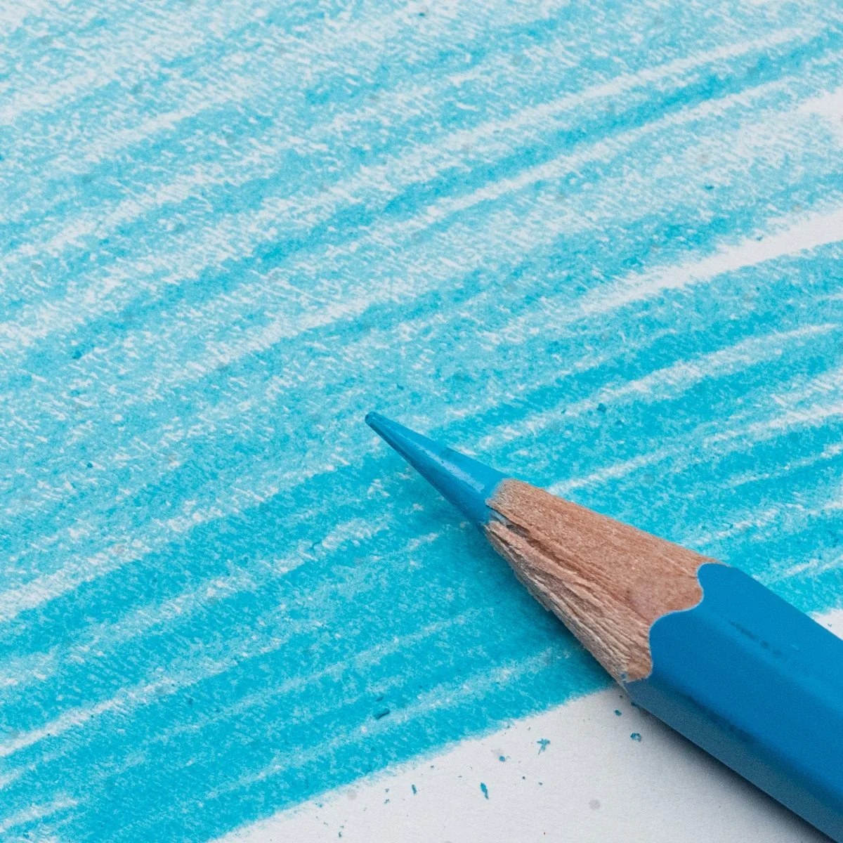 lápiz blackwing blue art. nr. 106692