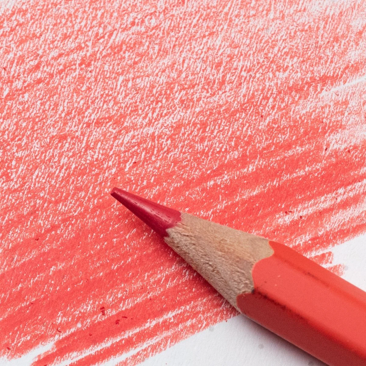 lápiz blackwing red art. nr. 106691