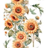 transfers decorativos 60x90cm 4 hojas – girasoles art. nr. pfy 14832