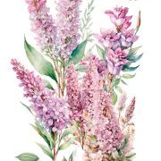 transfers decorativos 60x90cm 4 hojas – lilas art. nr. pfy 14829