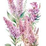 transfers decorativos 60x90cm 4 hojas – lilas art. nr. pfy 14829