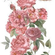 transfers decorativos 60x90cm 4 hojas – rosas art. nr. pfy 14822