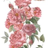 transfers decorativos 60x90cm 4 hojas – rosas art. nr. pfy 14822