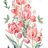 transfers decorativos 60x90cm 4 hojas – tulipanes art. nr. pfy 14831