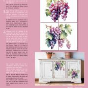 transfers decorativos 60x90cm 4 hojas – uvas art. nr. pfy 14834