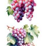 transfers decorativos 60x90cm 4 hojas – uvas art. nr. pfy 14834