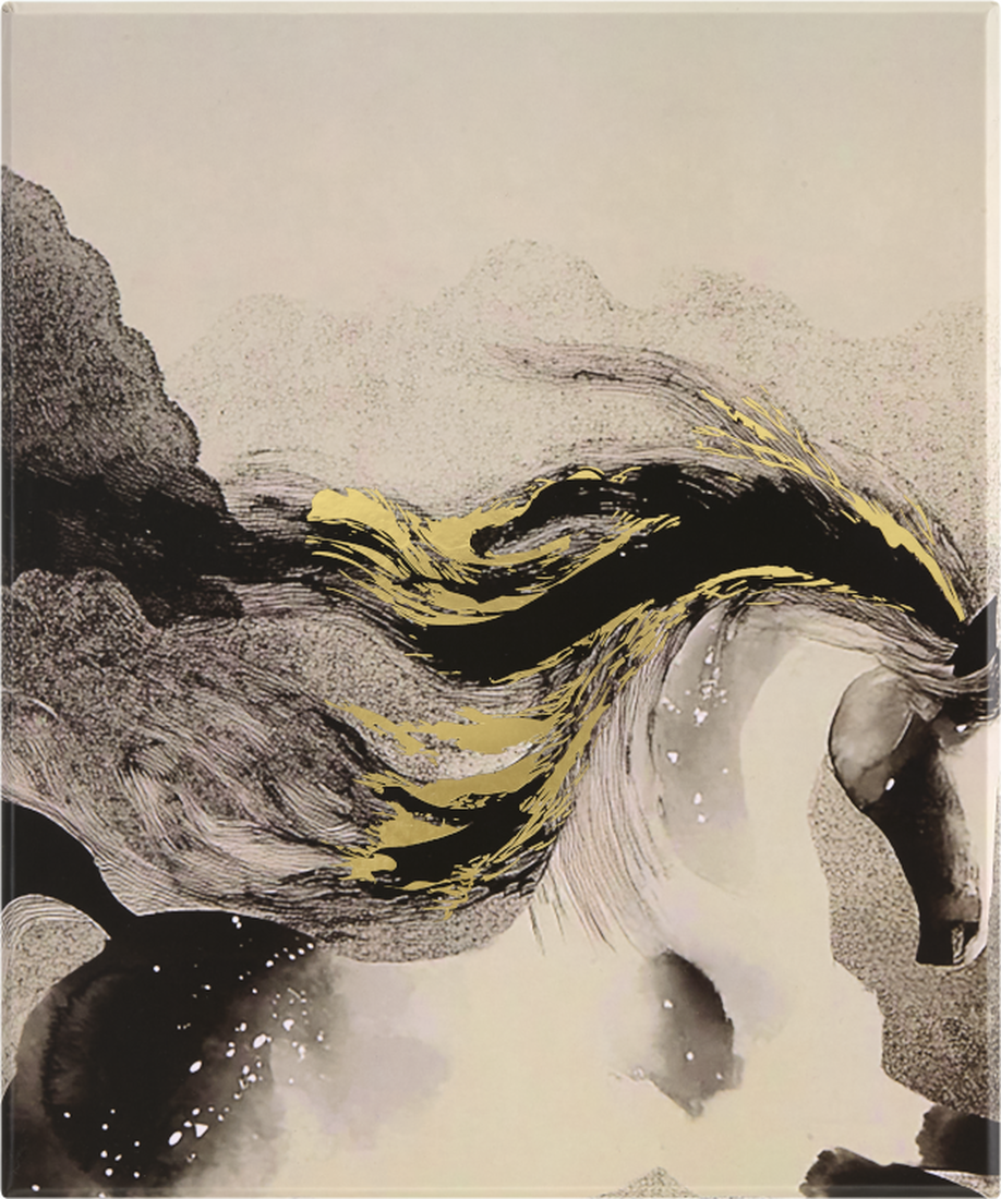set creativo moleskine "year of the horse" art. nr. 004232
